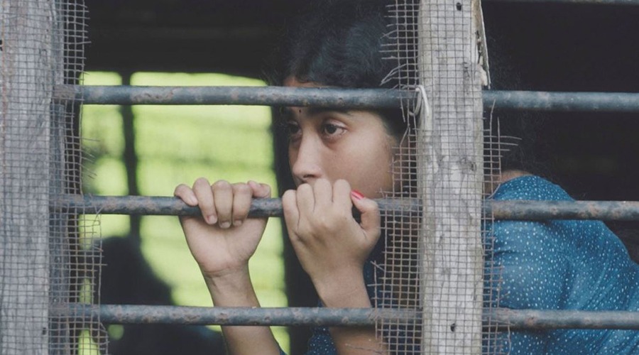 ভিয়েনায় যাচ্ছে বাংলাদেশের ‘দেলুপি’