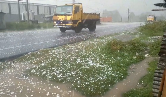 শিলাবৃষ্টিতে ফসলের ব্যাপক ক্ষতি