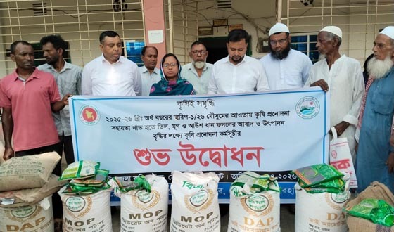 মোল্লাহাটে কৃষি প্রণোদনা কর্মসূচির উদ্বোধন