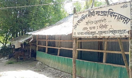 নাজিরপুরে চারজন শিক্ষকের ৫ জন শিক্ষার্থী