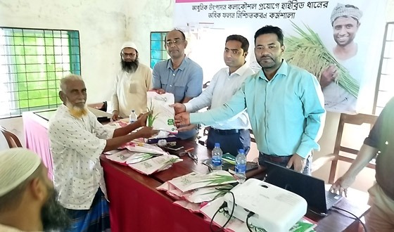 নড়াইলে হাইব্রিড ধানের অধিক ফলন নিশ্চিতকরণ কর্মশালা