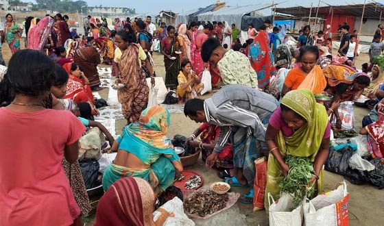 নাসিরনগরে দুই দিনব্যাপী শুঁটকি মেলা