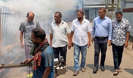 শ্রীমঙ্গলে ডেঙ্গু নিয়ন্ত্রণে জোরদার মশক নিধন অভিযান