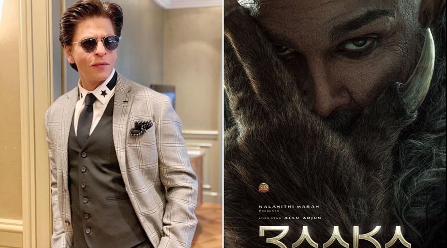 এবার আল্লু অর্জুনের নতুন সিনেমায় দেখা যাবে শাহরুখ খানকে