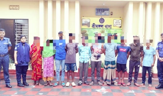 শ্রীমঙ্গলে মাদক মামলায় ৩ জনসহ ১০ আসামি গ্রেফতার