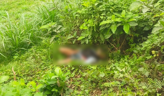 অটোভ্যান চালকের রক্তাক্ত লাশ উদ্ধার, গ্রেফতার ১