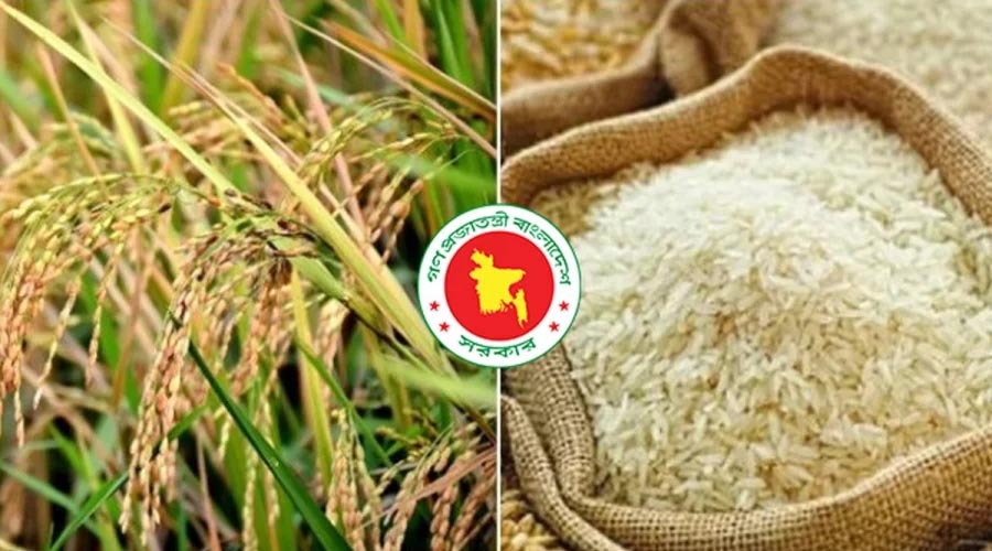 বোরো ধান-চাল সংগ্রহে বড় সিদ্ধান্ত, ১৮.৫ লাখ টন খাদ্যশস্য কিনবে সরকার