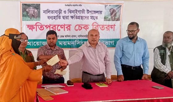 কনটেন্ট ক্রিয়েটারদের হাতির পিছে না লাগার আহ্বান