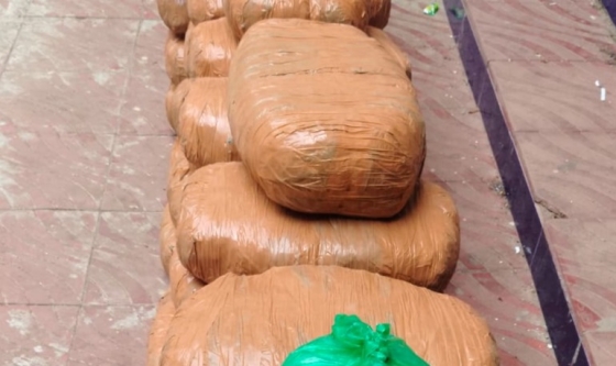 কালিয়াকৈরে র্যাবের অভিযানে ৭০ কেজি গাঁজা উদ্ধার