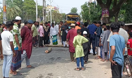 ঝিনাইদহে ট্রাক চাপায় নারী নিহত