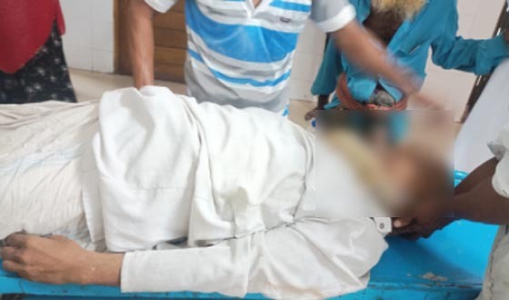 ট্রাকের ধাক্কায় ইজিবাইক চালক নিহত