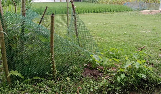 গরীবের কবরস্থান, তাই মিলছে না সরকারি সহায়তা