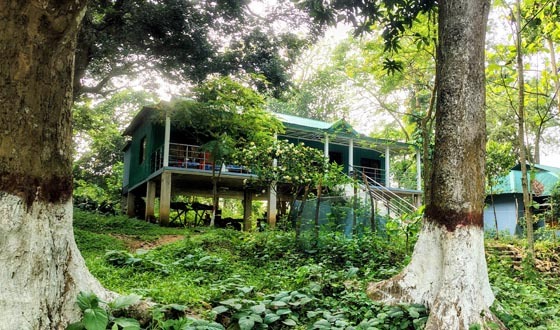 শেরপুরে বালিজুরি রেঞ্জ অফিস চত্বর প্রায় বিলুপ্ত