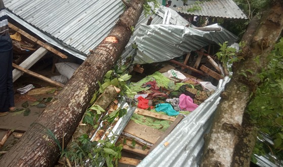মেলান্দহে কালবৈশাখী ঝড়ে একই পরিবারের ৩ জনের মৃত্যু