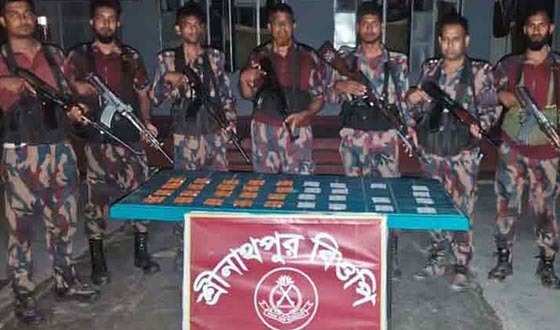 বিজিবি অভিযানে সাড়ে ৪ লাখ টাকার ভারতীয় ওষুধ আটক