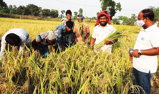 ভালুকায় শ্রমিক সংকট, মজুরী বেশী
