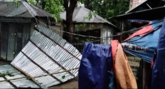 সারিয়াকান্দিতে কালবৈশাখী ঝরে গাছ চাপায় কৃষক নিহত