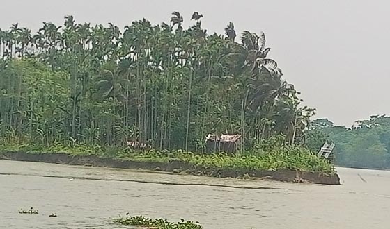 কাউখালীর আশোয়া গ্রামটি নদীভাঙনে বিলুপ্তির পথে