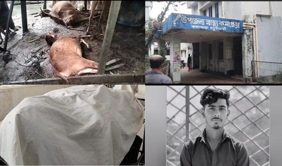 পটুয়াখালীতে বজ্রপাতে নারীসহ ৪ জন নিহত