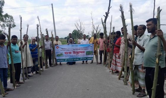 রাণীশংকৈলে কর্মসূচির আওতায় সজিনা চারা রোপণ