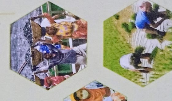 মে দিবস উদযাপনে জেলা প্রশাসন ও বিএনপি'র কর্মসূচি