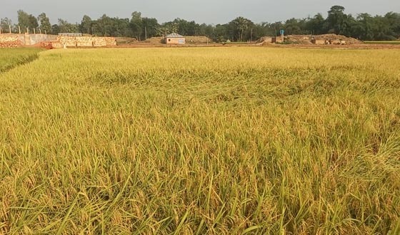 মহাদেবপুরে ইটভাটা মালিকের বিরুদ্ধে ফেসবুকে অপপ্রচার