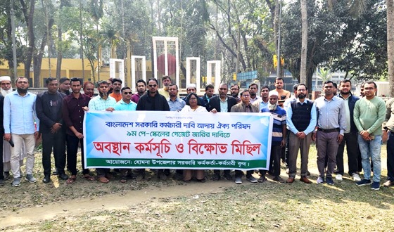 হোমনায় ৯ম পে-স্কেলের দাবিতে অবস্থান কর্মসূচি