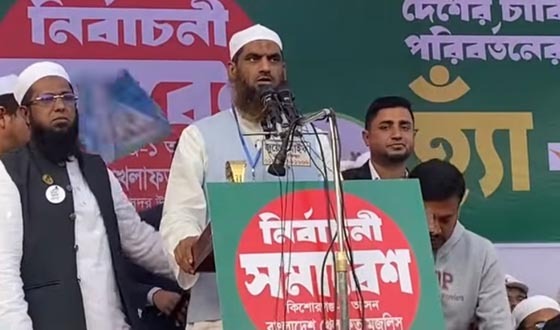 দেশের সম্পদ লুটপাট করে বিদেশে পাচার করেছে:  মামুনুল হক