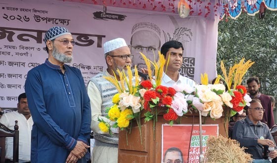 সাপাহারে ধানের শীষের পক্ষে বিএনপির বিশাল নির্বাচনী জনসভা অনুষ্ঠিত