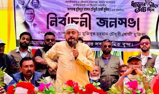 মৌলভীবাজার-৪ আসনের ৬ প্রার্থী প্রচারনায় ব্যস্ত