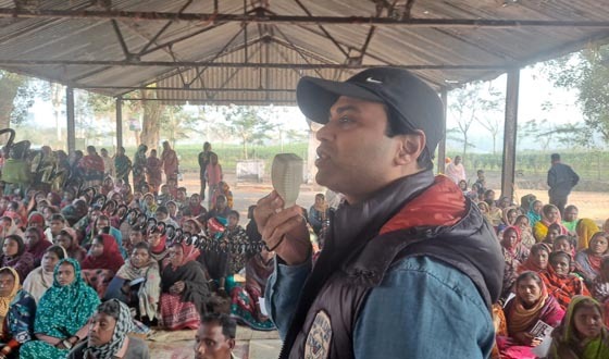 হবিগঞ্জ-৪ আসনে চা বাগানে নির্বাচনী উৎসব