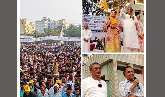 বিএনপির ফরিদ আহমেদ মানিকের সমর্থনে নির্বাচনী জনসভা