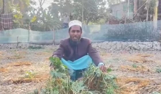 শ্যামনগরে জামায়াত কর্মীর তরমুজ ক্ষেত নষ্ট করল দুর্বৃত্তরা