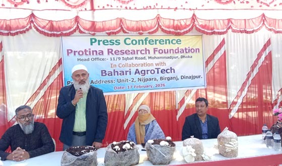 বীরগঞ্জে দেশীয় প্রযুক্তিতে বাটন মাশরুম চাষের সফলতা