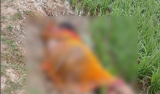 কয়রায় ইদুর মারার বৈদ্যুতিক ফাঁদে গৃহবধুর মৃত্যু