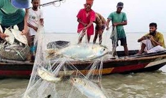 জাটকা সংরক্ষণ ও ইলিশের উৎপাদন বৃদ্ধির লক্ষ্যে মেঘনা নদীতে মাছ ধরা নিষিদ্ধ
