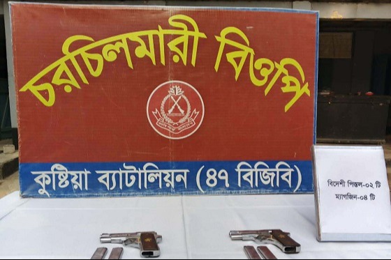 দৌলতপুরে বিজিবির অভিযানে বিদেশি পিস্তল ও ম্যাগাজিন উদ্ধার