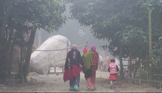 ফুলবাড়ীতে পৌষের তীব্র ঠান্ডা, জুবুথুবু জীবনযাত্রা