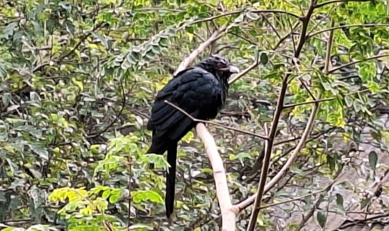 রাজশাহীতে একদিনের ব্যবধানে তাপমাত্রা কমে নেমেছে ৭ ডিগ্রিতে