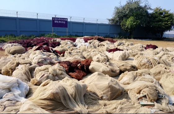 মেঘনা থেকে নিষিদ্ধ কারেন্টজালসহ বিভিন্ন জাল জব্দ