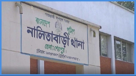 নালিতাবাড়ীতে অটোরিকশা চাপায় শিশুর মৃত্যু