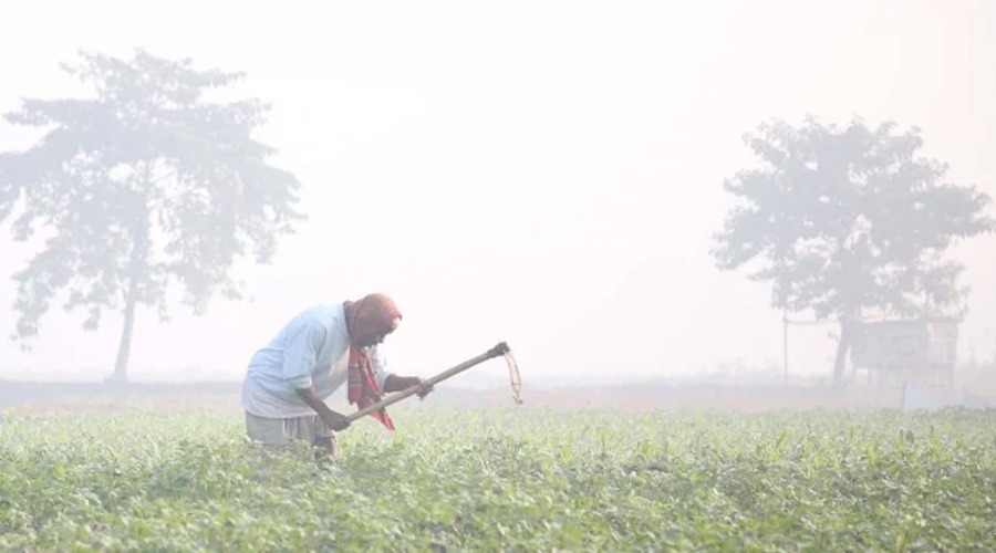 তেঁতুলিয়ায় শীতে জনজীবন স্থবির, তাপমাত্রা নামল ৬ ডিগ্রিতে