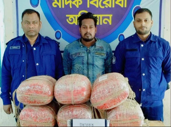 ফুলবাড়ীতে গাঁজাসহ মাদক ব্যবসায়ী গ্রেফতার