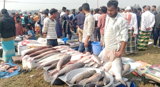 কালীগঞ্জে ঐতিহ্যবাহী জামাই মেলায় মানুষের ঢল