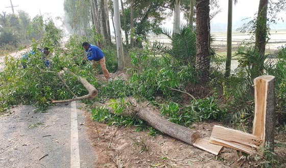 শেরপুরে অটোভ্যান চালককে বেঁধে গাড়ি নিয়ে উধাও দুর্বৃত্তরা