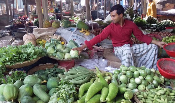 চাটমোহরে সবজির দামে উর্ধ্বগতি, মাছ-মুরগি আগের মতোই