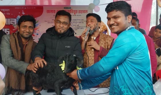 নাগেশ্বরীতে ক্রিকেট লীগের ফাইনাল খেলা অনুষ্ঠিত