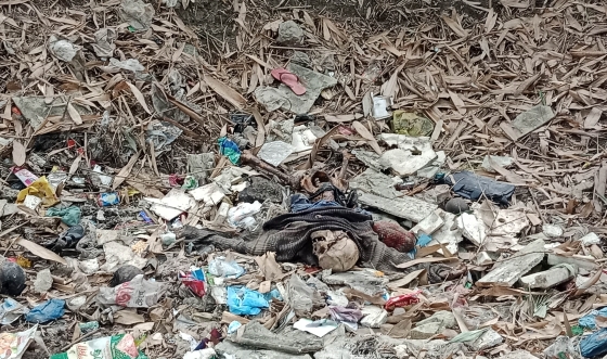 বাঘায় জুতা খুঁজতে গিয়ে পচা গন্ধে মিলল নিখোঁজ বৃদ্ধের কঙ্কাল