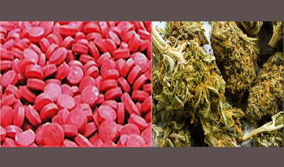 বরিশালে মাঠ দাপিয়ে বেড়াচ্ছে মাদক ব্যবসায়ীরা