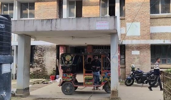 ভালুকায় ট্রাকের ধাক্কায় নারী নিহত